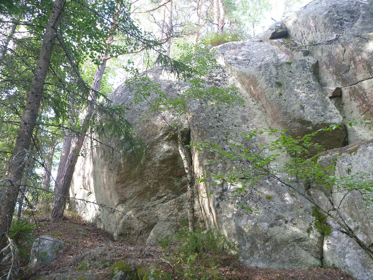 Älgakärret - Vägg