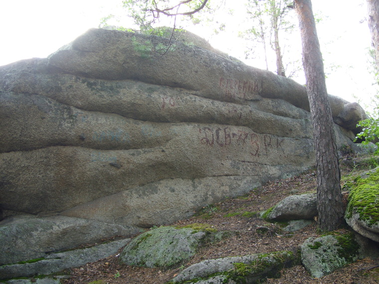 Дерево Бодхи