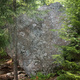 Hoffmannin tipat thumbnail