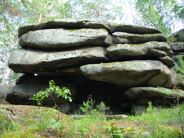 Дерево Бодхи