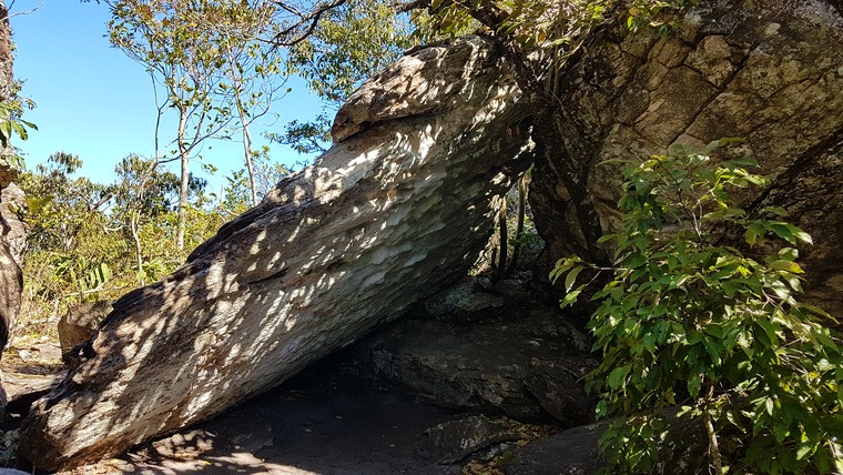 Casa da Cobra / Florestinha