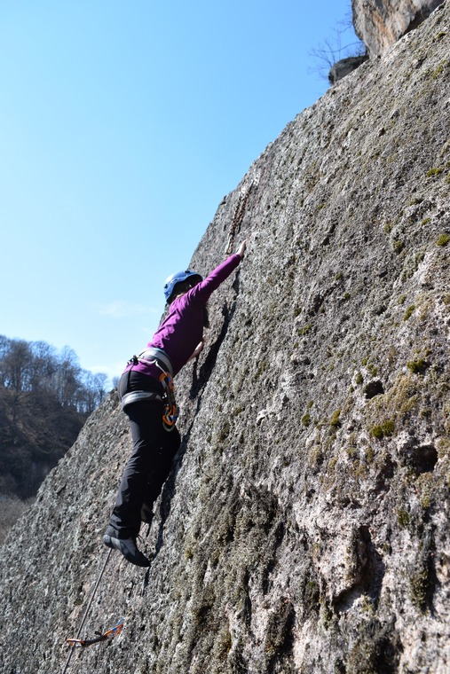 Shark Fin, kids lead