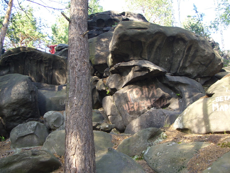 Сектор Электричка