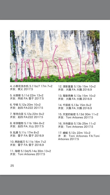 Lasagne area千层饼区