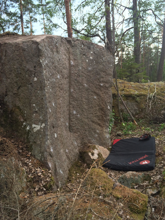 Caporal Blocks dreaming 1