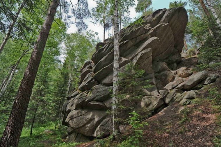 Кобылья голова