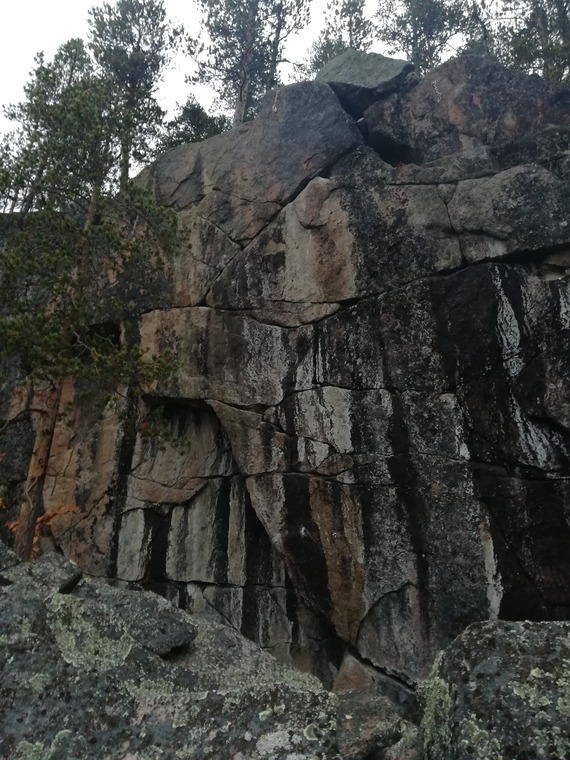 Varjiskäften - Sokobond Sector