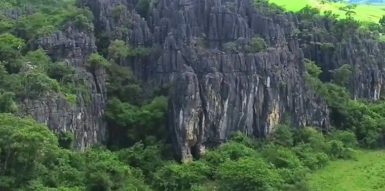 Setor Leão de Judah