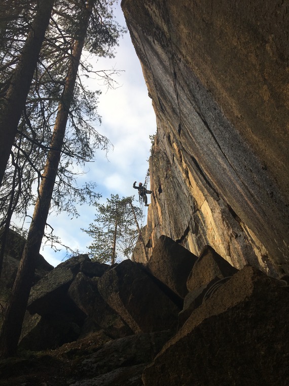 Varjiskäften - Ninja Crack Sector