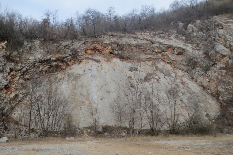 Placche dietro il Cro