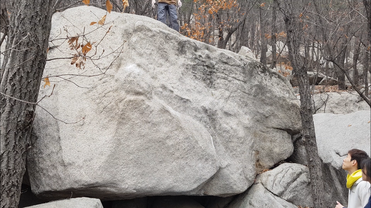 비보이를 사랑한 발레리나