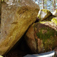 Wunderkind thumbnail