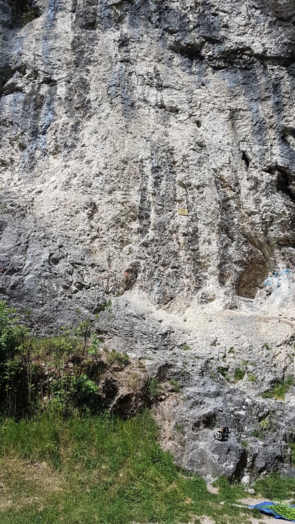 Centralni sektor (central section)