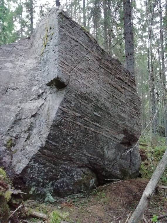 Квадратный король