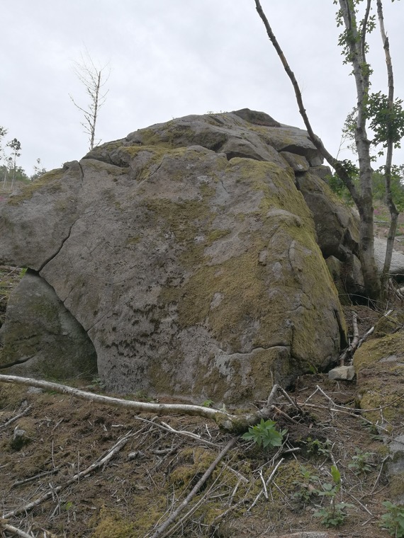 Lower stone