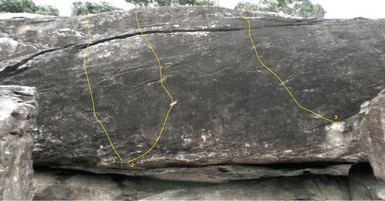 Bloco dos esquecidos