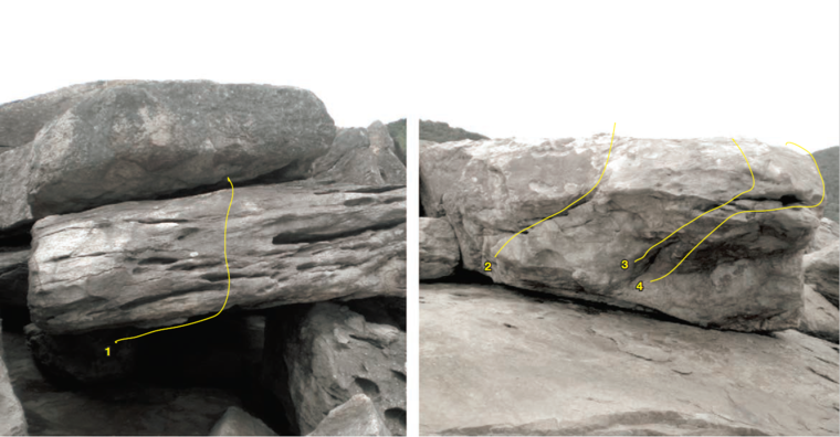 Bloco do ninho de mafagafos