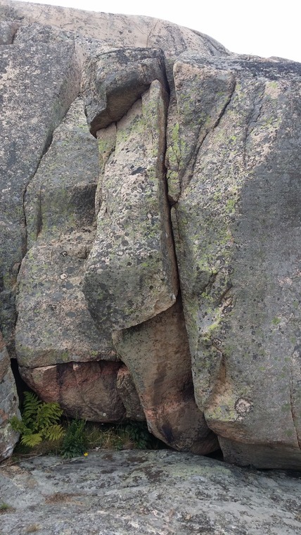 Sjöviken, Hamburgö