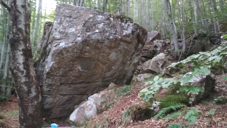 Segheria - SottoFalesia