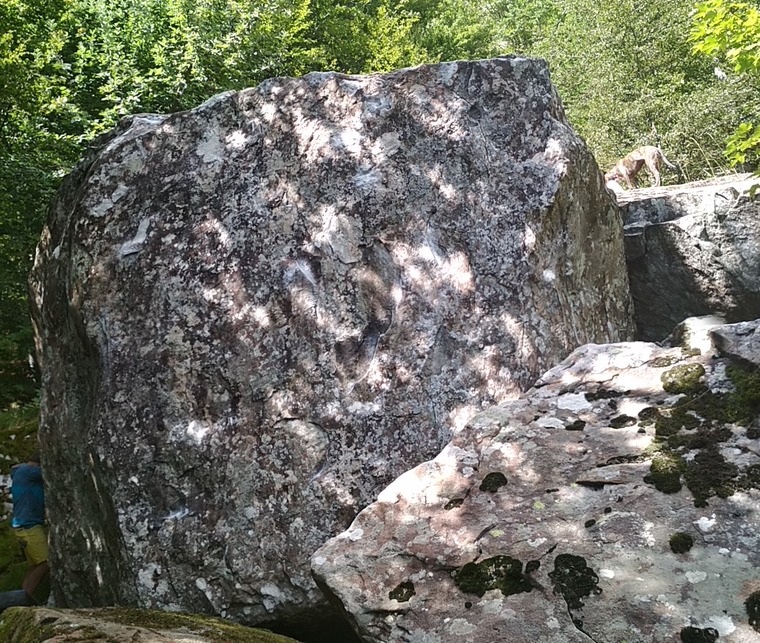 Segheria - SottoFalesia