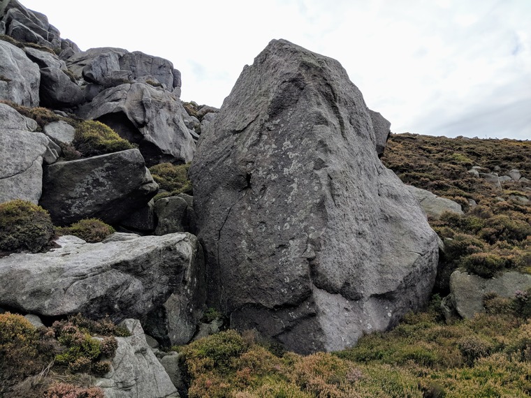 The Naked Edge/Dino-Mania