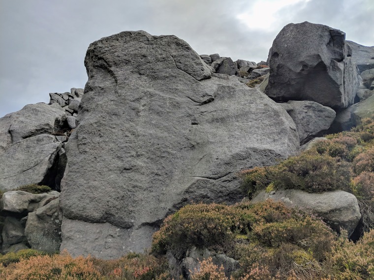 The Naked Edge/Dino-Mania