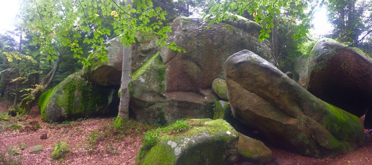 Акваріум/Aquarium