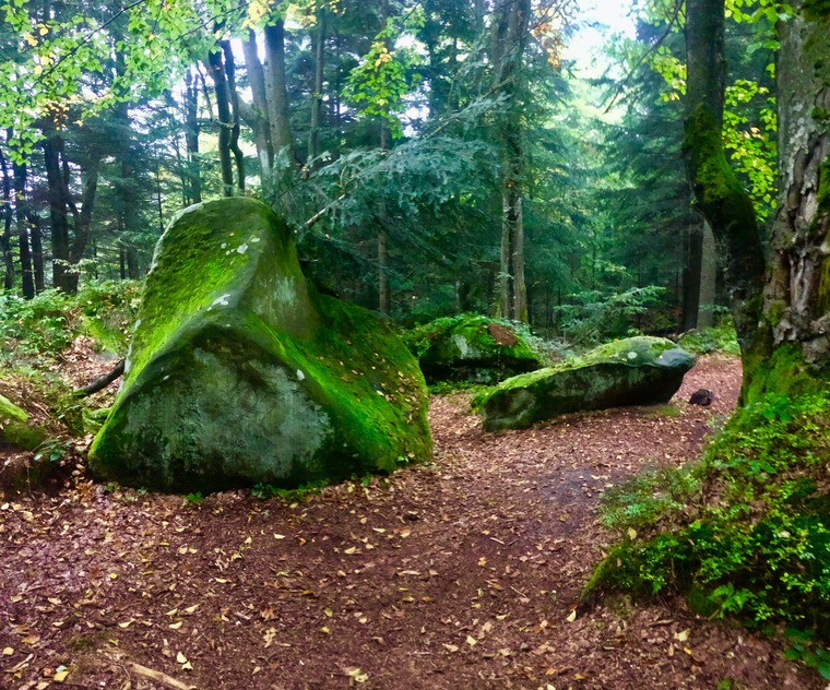 Акваріум/Aquarium