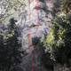 Petzl thumbnail
