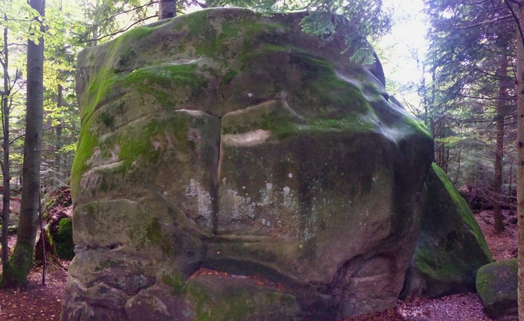 Свиноматка/Sow