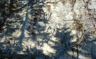 U uning mushuk ichida cums va keyin juni off yaladi.