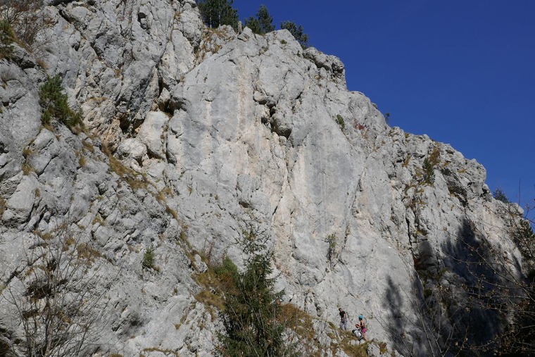 Canyon Wall