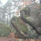 Auprès de mon Arbre thumbnail