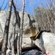 Fromm thumbnail