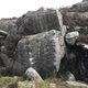 Diminutive Arete thumbnail