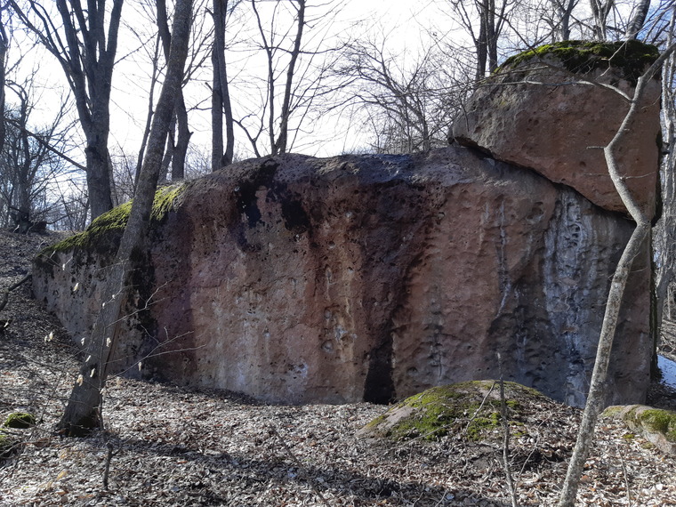 Где сидит фазан