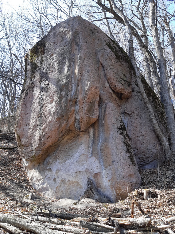 Ползущий змей, парящий орел