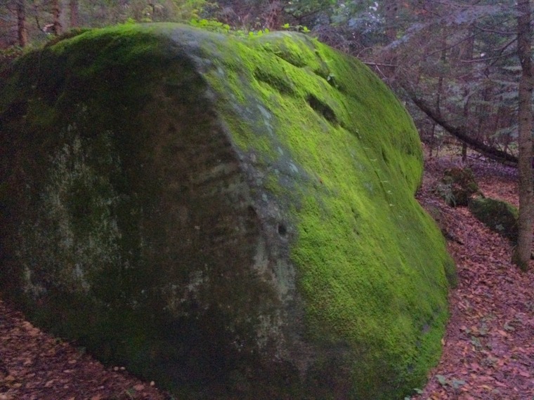 Мікрорайон/Microdistrict