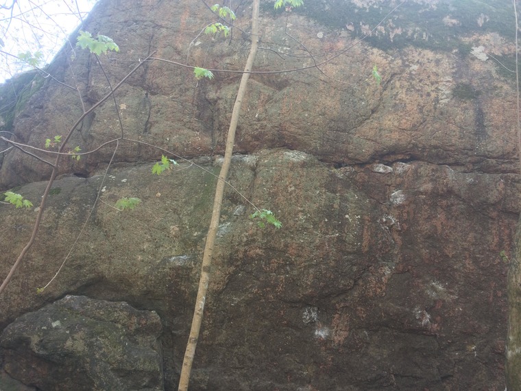 Henriksdalsbackan Forest Idyll