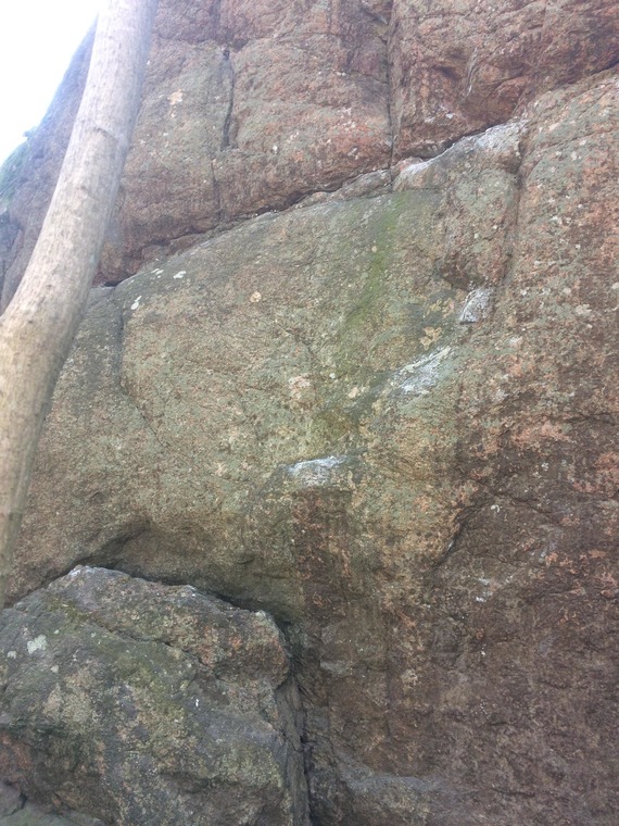 Henriksdalsbackan Forest Idyll