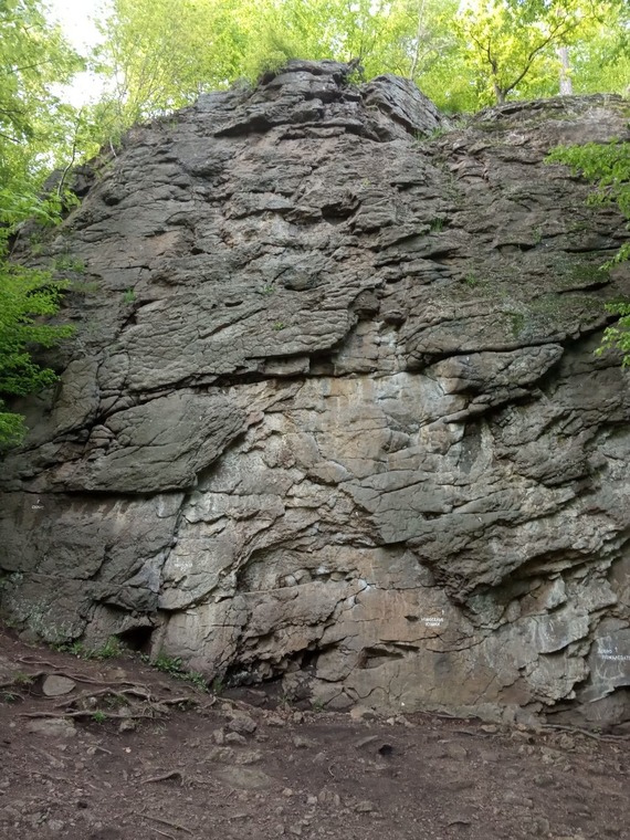 Біла ворона