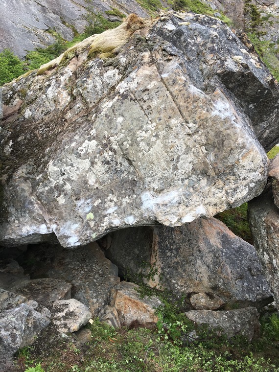 Trehoggern