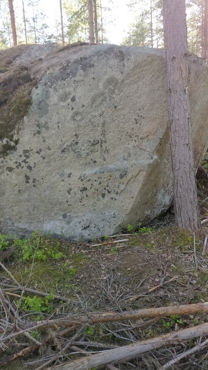 Okontrollerad dårskap