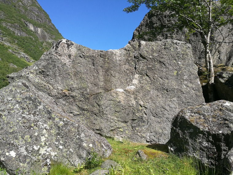 7,Tikke / 6,Ram / Hoppla