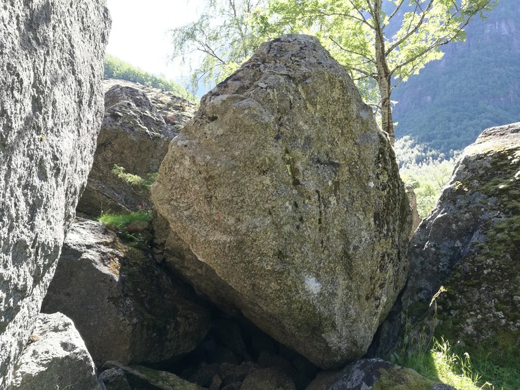 7,Tikke / 6,Ram / Hoppla