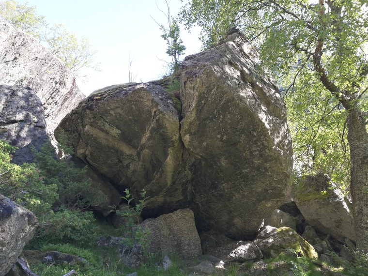 7,Tikke / 6,Ram / Hoppla