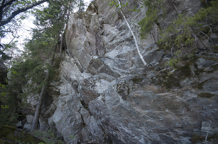 Det ensomme bratte prosjektet