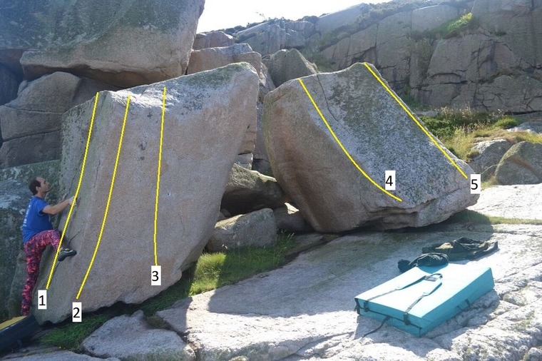 Holy og Nøddeknækkeren