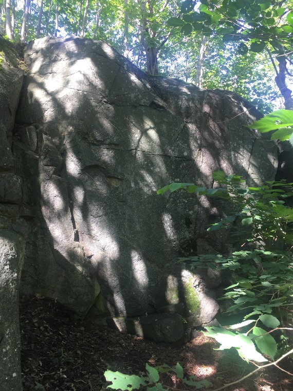 Johannebergsskogen Entré