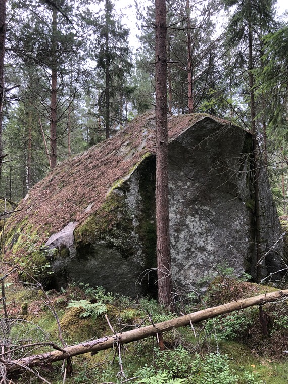 Sektor B Snårskogen